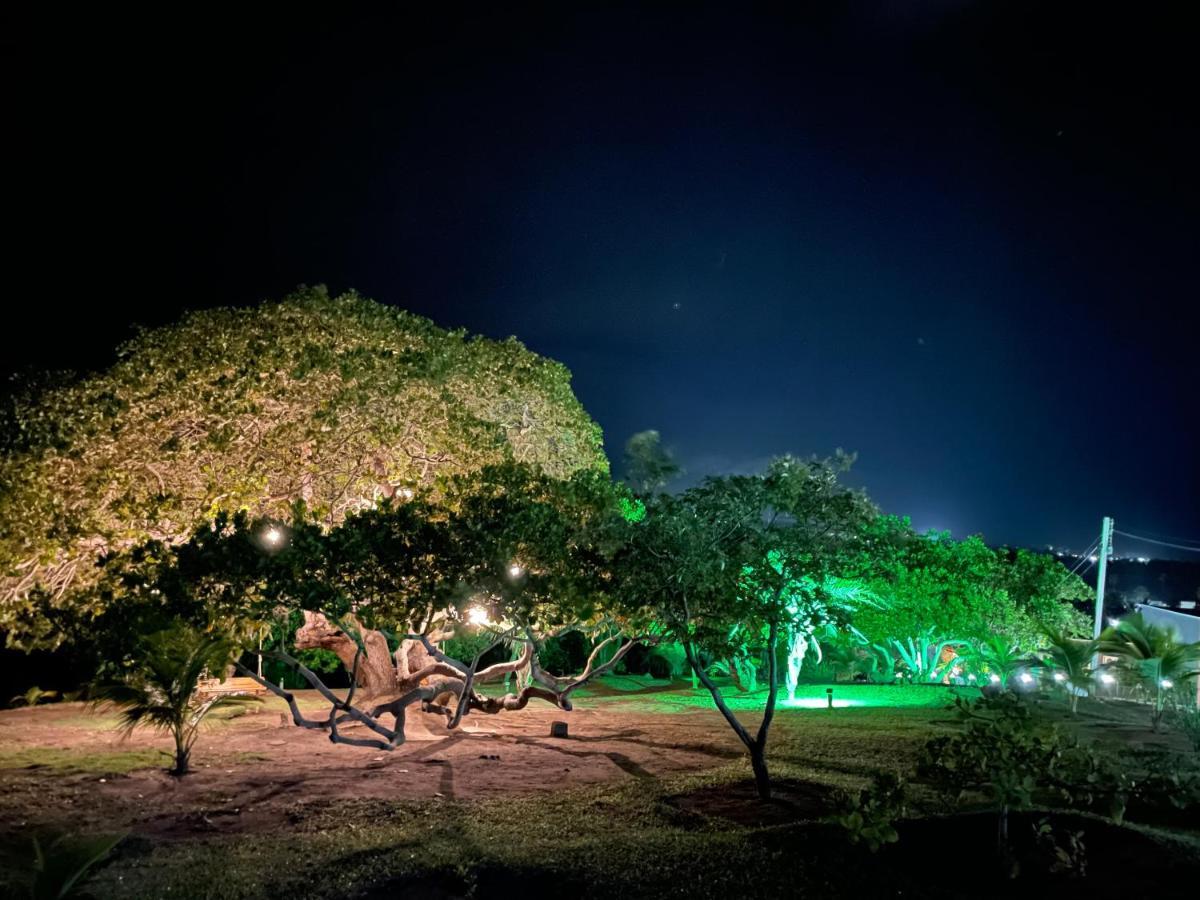 ホテル Chales Alto Dos Milagres São Miguel dos Milagres エクステリア 写真